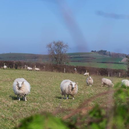 Beautiful Countryside Cottage On The North Wales Coast Abergele Zewnętrze zdjęcie