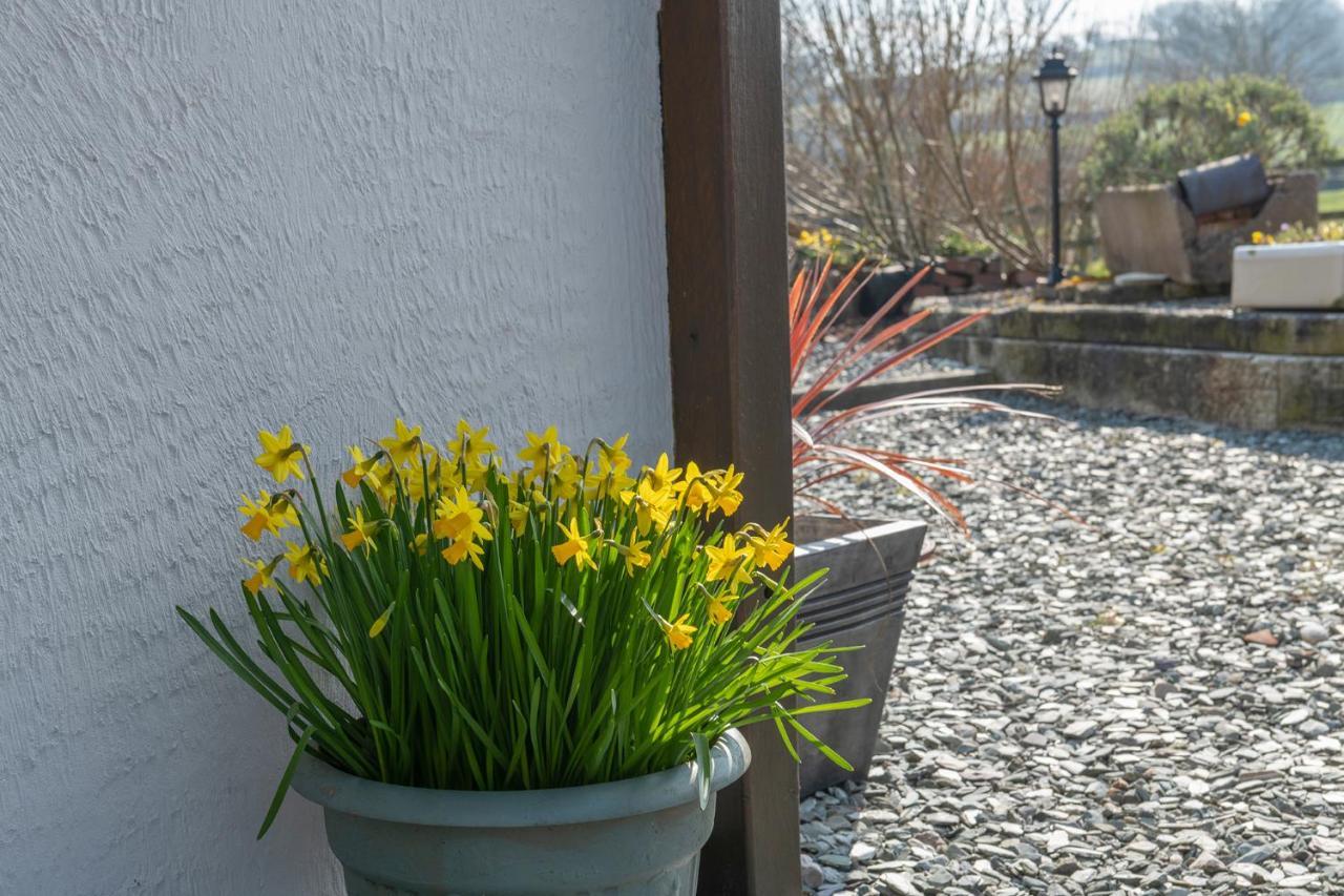Beautiful Countryside Cottage On The North Wales Coast Abergele Zewnętrze zdjęcie